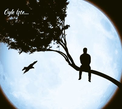 ***
Bir kuşun ayaģına taş baģlayıp,
Haydi uç der gibi bazen hayat...
Kanat var da,
Yük çok aģır...

#Günaydın ☕🌸🍀🐞
#Madımak🥀