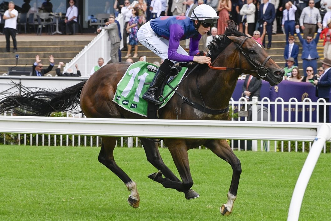 Racing NSW (@racing_nsw) on Twitter photo "Heโs come on from the run and heโs come up really well.โ
Danny Williams is keeping his options open with Exit Fee heading into Saturday's TAB Highway at Rosehill while hoping stablemate Everlasting Stars gains a run. ๐ธ <a href="/Bradley_Photos/">Bradley Photos</a>
STORY: tinyurl.com/3cx2wea5 "Heโs come on from the run and heโs come up really well.โ
Danny Williams is keeping his options open with Exit Fee heading into Saturday's TAB Highway at Rosehill while hoping stablemate Everlasting Stars gains a run. ๐ธ <a href="/Bradley_Photos/">Bradley Photos</a>
STORY: tinyurl.com/3cx2wea5