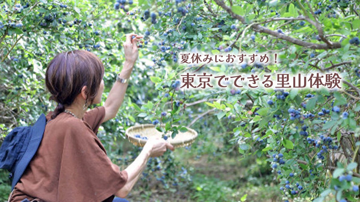 imatama01's tweet image. 【🎪イマタマ掲載イベントを紹介🎪】

【夏休みに！東京で里山体験🏞️】
ブルーベリー狩り＆牧場見学が楽しめる八王子・小比企町へ🍇🐄
自然・農業・動物とのふれあいで自由研究にもぴったり！

▶詳細はこちら
imatama.jp/contents/mini_…

#八王子市
#イマタマ