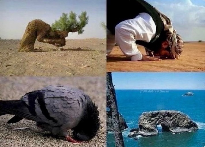 Say Allahu’Akbar and repost.