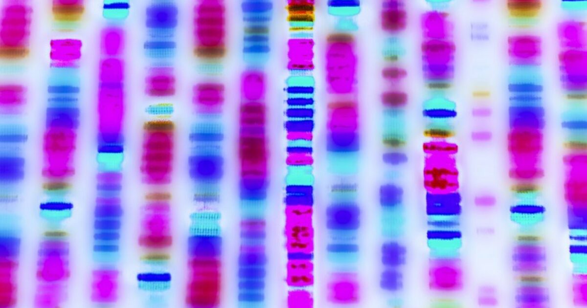 Register Dynamics (@regdyn) on Twitter photo We are incredibly proud of the work we're doing with <a href="/GenomicsEngland/">Genomics England</a> developing tools to enable researchers and staff across the NHS to access data to support clinical trials, cancer treatments and other medical advancements. See the 100k Genomes project:
genomicsengland.co.uk/initiatives/10… We are incredibly proud of the work we're doing with <a href="/GenomicsEngland/">Genomics England</a> developing tools to enable researchers and staff across the NHS to access data to support clinical trials, cancer treatments and other medical advancements. See the 100k Genomes project:
genomicsengland.co.uk/initiatives/10…