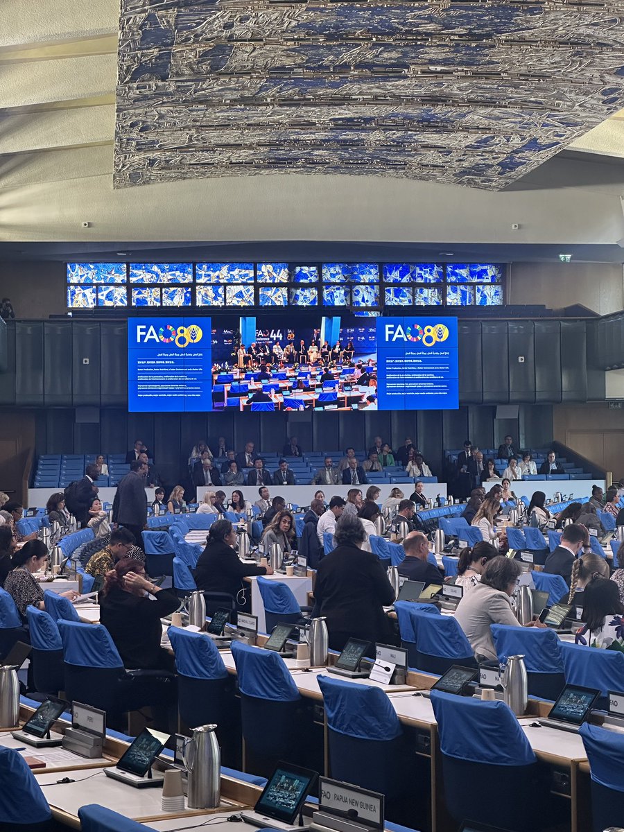 PromSoc_Italia's tweet photo. FPS partecipa alla 44  #FAO Conference: insieme per sistemi agroalimentari più sostenibili e resilienti. Innovazione, governance e inclusione al centro del dibattito sui #FourBetters per un futuro senza fame. 

#AgrifoodSystems #SDGs https://t.co/lFaYtdM09g