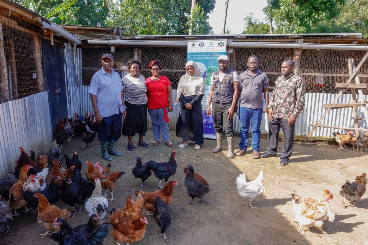 Bank an egg and withdraw a chick! 
Community groups that received #KEMFSED grants for poultry farming can now efficiently multiply their chickens—and their profits—using incubators after training by #Kwale County Government.🐓🐓
#EnhancingLIvelihoods  #PoultryFarming