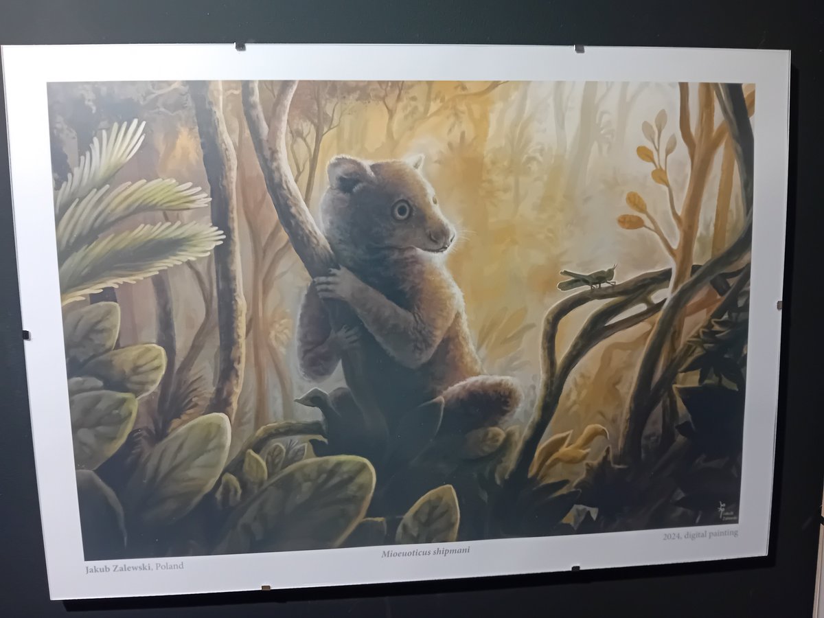 Holly Ellen Anderson (@palaeophd) on Twitter photo Fabulous #Paleoart at #EAVP2025 and I spy some familiar #palaeoart by <a href="/ArtXaime/">Jakub Zalewski</a> of <a href="/IBE_Warszawa/">Institute of Evolutionary Biology UW</a> ! Fabulous #Paleoart at #EAVP2025 and I spy some familiar #palaeoart by <a href="/ArtXaime/">Jakub Zalewski</a> of <a href="/IBE_Warszawa/">Institute of Evolutionary Biology UW</a> !