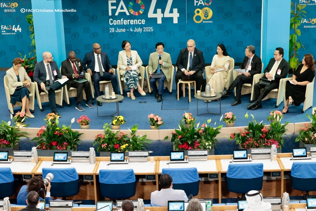 FAODG's tweet image. My msg at Four Betters for Future Roundtable on Delivering Good Food for All: @FAO's #4Betters are a strategic blueprint for transforming agrifood systems to be more efficient, inclusive, resilient & sustainable. Collective action must start today, not tomorrow. #FAOConference