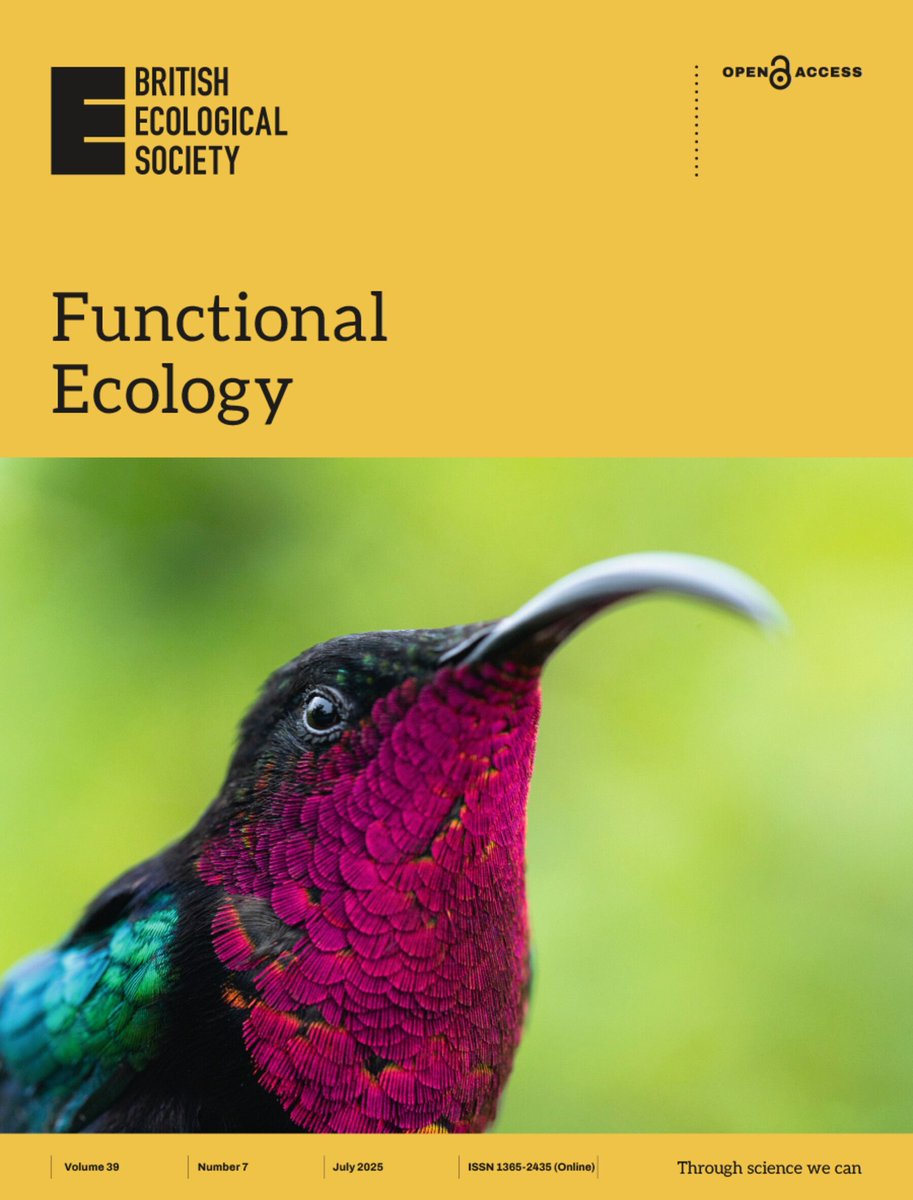 FunEcology's tweet image. ☀️Our July Issue is out now!☀️
📙The purple-throated carib, a large #hummingbird endemic to the islands of the Lesser Antilles. Photo credit: Maximilian Vollstädt🐦
Read it here👇
buff.ly/2ohUs7e