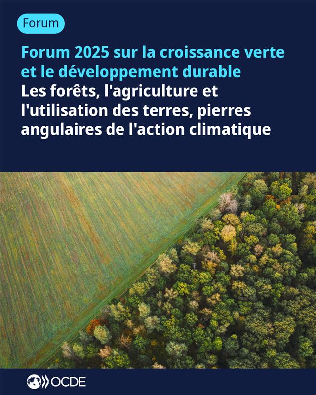 Zone OCDE = +/- 30 % de la surface forestière mondiale.

Le Forum #GGSD de l’OCDE sera consacré aux forêts, à l’agriculture et aux autres affectations des terres, pierres angulaires de l’action climatique.

À suivre en direct dès 14h (heure de Paris): brnw.ch/21wTPRp