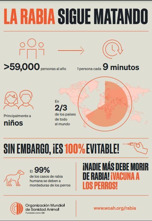 Comité Vacunas e Inmunizaciones-AEP (@cav_aep) on Twitter photo Un turista español de 44 años muere por rabia contraída en un viaje internacional en un hospital de la Comunidad Valenciana.
Había contraído la enfermedad tras una mordedura de perro en una pierna en un viaje a Etiopía en el mes de julio de 2024 
vacunasaep.org/profesionales/…. Un turista español de 44 años muere por rabia contraída en un viaje internacional en un hospital de la Comunidad Valenciana.
Había contraído la enfermedad tras una mordedura de perro en una pierna en un viaje a Etiopía en el mes de julio de 2024 
vacunasaep.org/profesionales/….