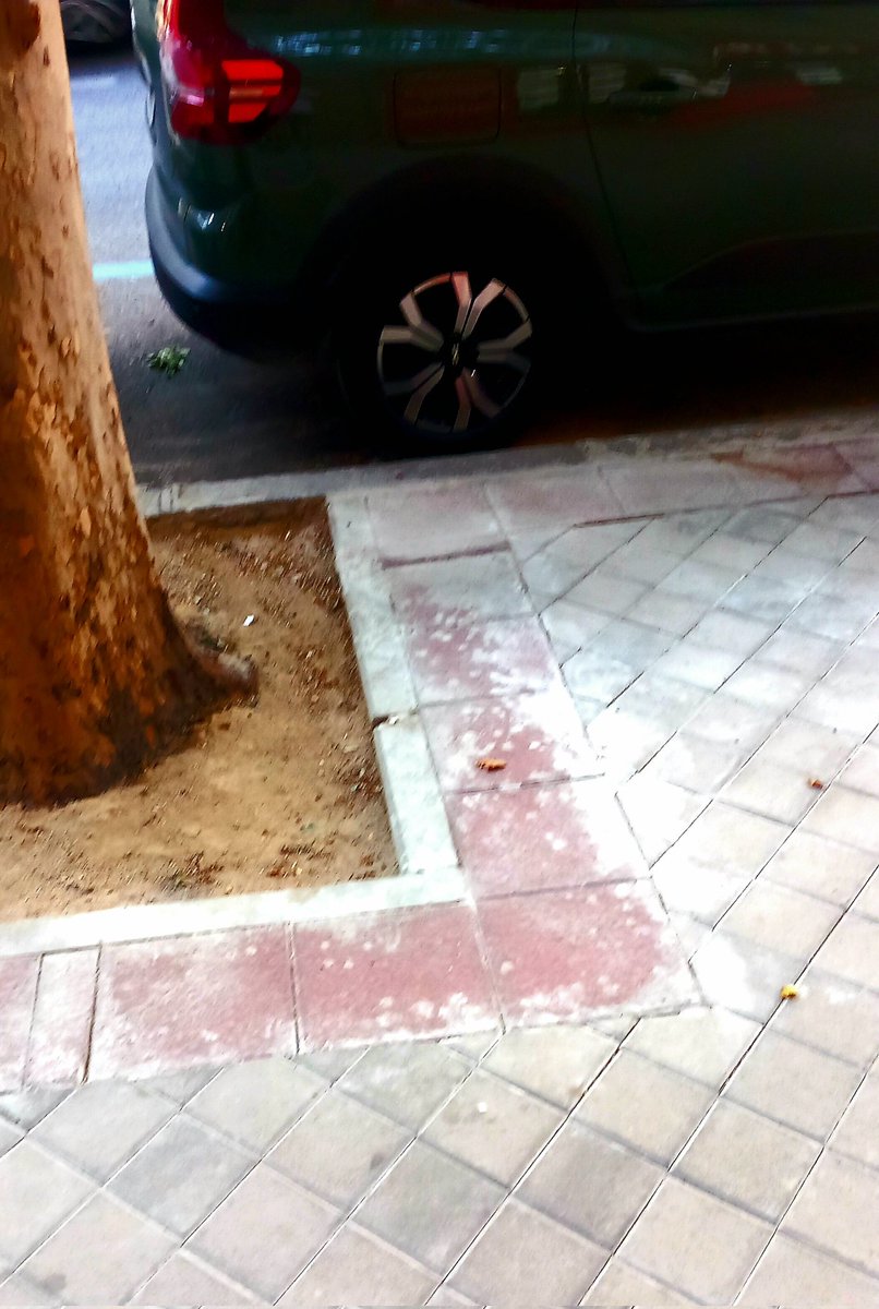 Estimado alcalde <a href="/AlmeidaPP_/">José Luis Martínez-Almeida</a> <a href="/MADRID/">Ayuntamiento Madrid</a> el acabado d esta obra d los años 30 está incluso mejor que los d la obra d pavimentación recien terminada en la calle Doc Esquerdo enfrente del Marañón. No entiendo q nos hagan esperar dos meses para dar respuesta a los vecinos <a href="/Lineamadrid/">Línea Madrid</a>