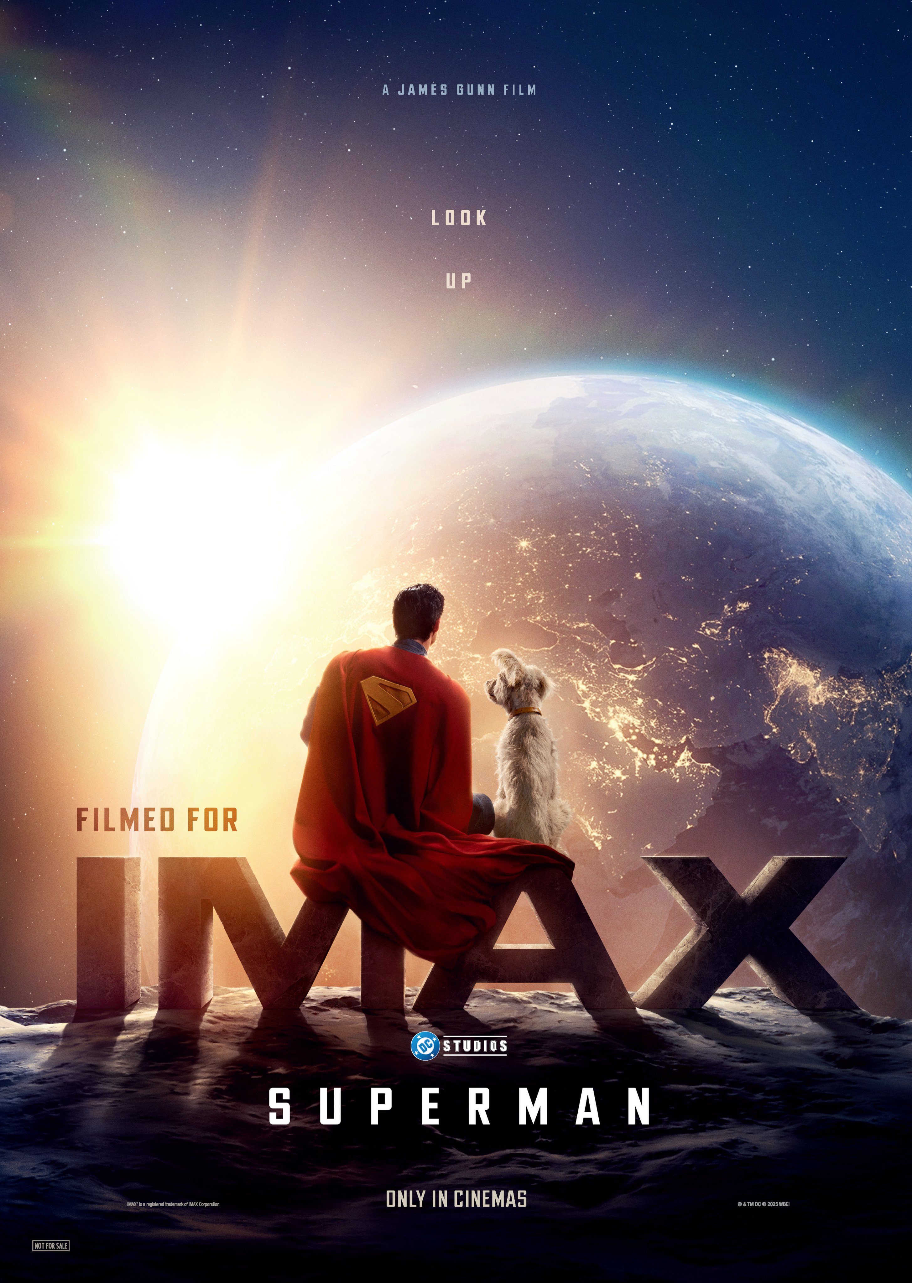 バットマン IMAX エクスクルーシブビジュアルポスター（B1