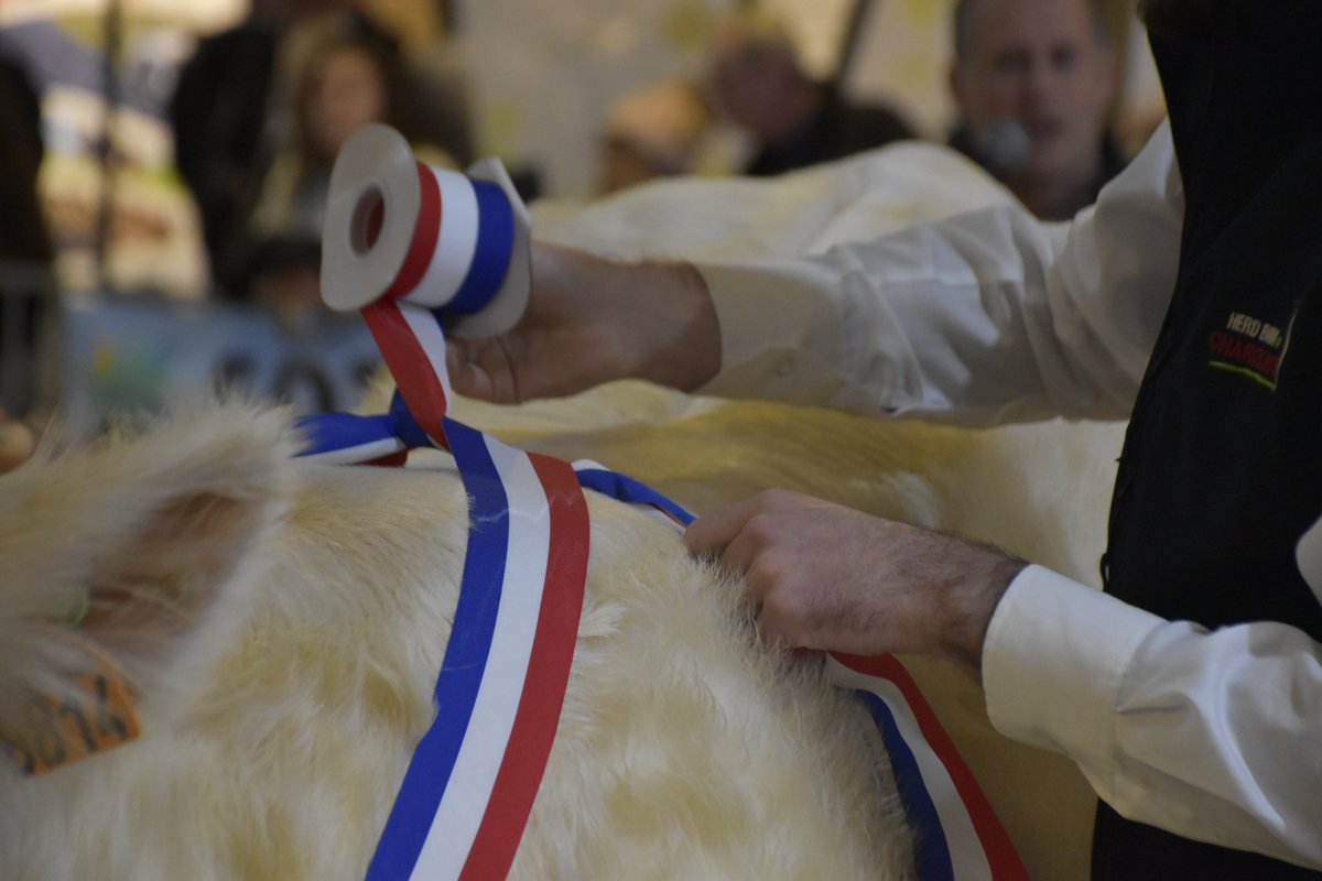 🤝 Aujourd’hui, on célèbre les coopératives agricoles !
Acteurs majeurs de l’élevage, elles soutiennent innovation, entraide et filières durables.
Présentes chaque année à #TechElevage 💼🐄
#CoopAgri #Coopératives #Élevage