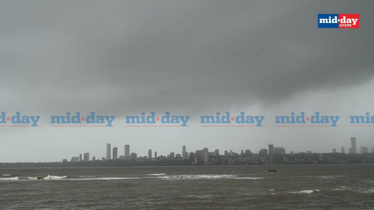 Mid Day (@mid_day) on Twitter photo Tourists soak in the monsoon magic along Marine Drive’s stormy skyline
Picture credit: <a href="/satejss/">Satej Sharad Shinde</a>
#Mumbainews #Mumbairains #Mumbaimonsoon Tourists soak in the monsoon magic along Marine Drive’s stormy skyline
Picture credit: <a href="/satejss/">Satej Sharad Shinde</a>
#Mumbainews #Mumbairains #Mumbaimonsoon