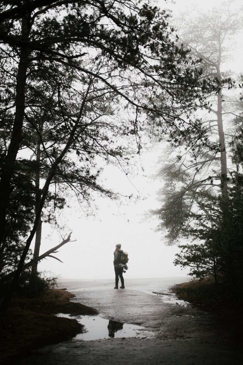 Free Flash Fiction (@fffict) on Twitter photo Outwitting a Killer
by Lynne Curry
<a href="/lynnecurry10/">Lynne Curry</a>
#fiction #writing #FlashFiction #writingcommunity #flashfiction
freeflashfiction.com/fiction/outwit… Outwitting a Killer
by Lynne Curry
<a href="/lynnecurry10/">Lynne Curry</a>
#fiction #writing #FlashFiction #writingcommunity #flashfiction
freeflashfiction.com/fiction/outwit…