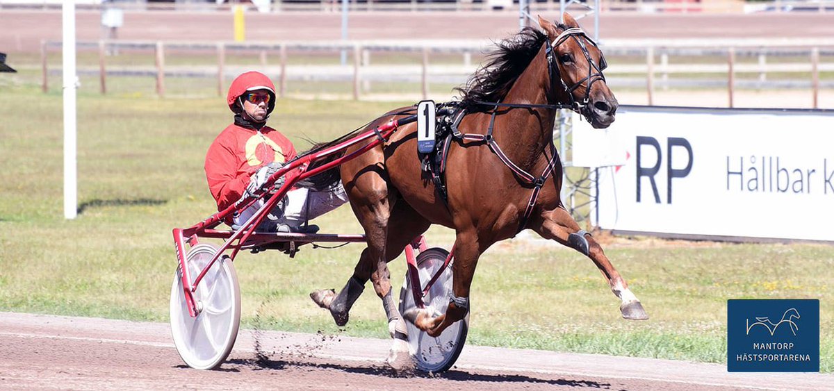 Bara en favorit höll!

Det fanns många stora förhandsfavoriter till tisdagens lunchtrav på Mantorp Hästsportarena. Men efteråt kunde man konstatera att bara en enda favorit höll. Debuterande Mahakala glänste i debuten (bilden).
Läs mer på: mantorphastsportarena.se/nyheter/bara-e…