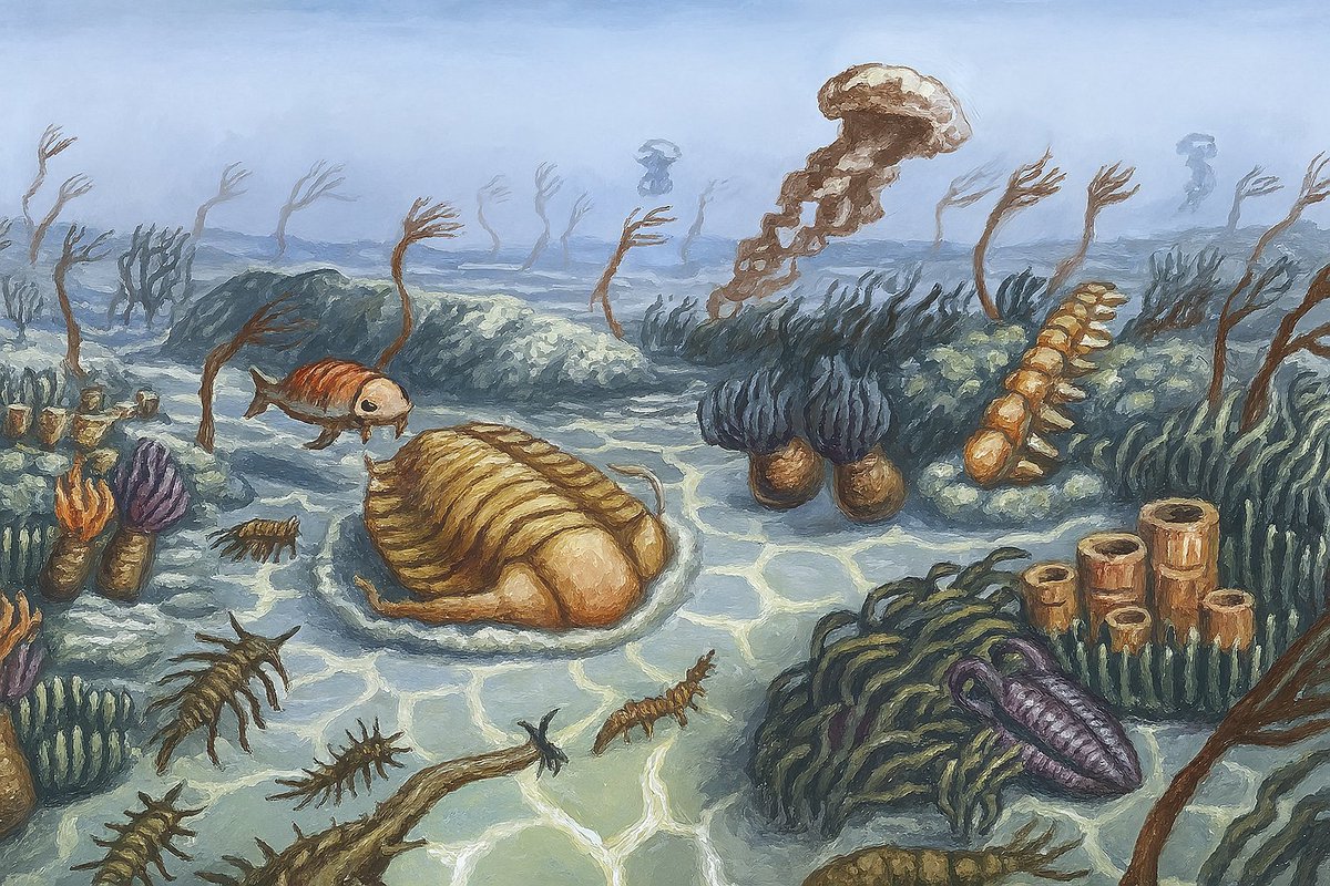 Cambrian tweet media