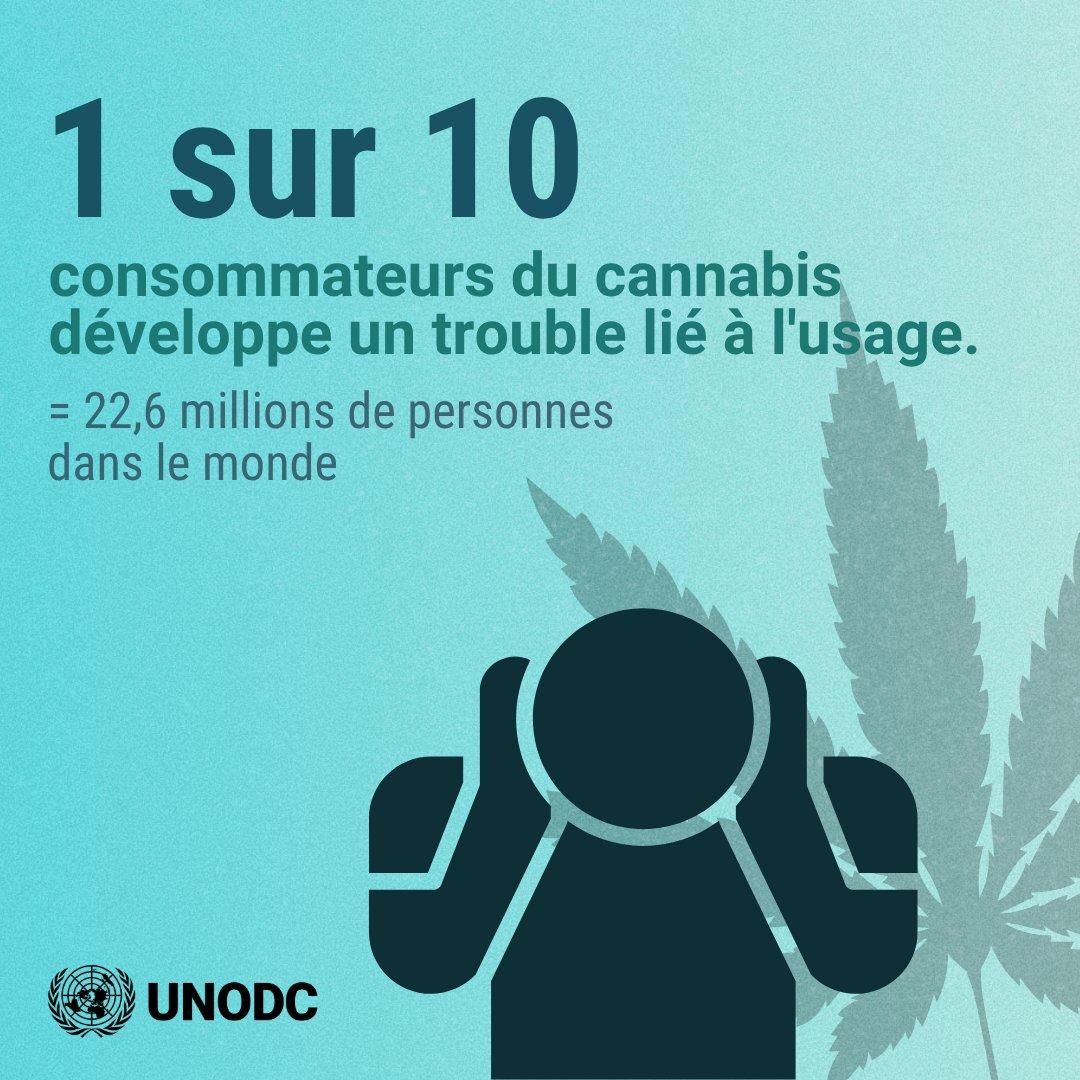 1 personne sur 10 consommant du cannabis développe un trouble lié à son usage.

Cela représente 22,6 millions de personnes dans le monde.

Découvrez les derniers faits et chiffres dans le #WorldDrugReport⬇️
bit.ly/DrugReport2025