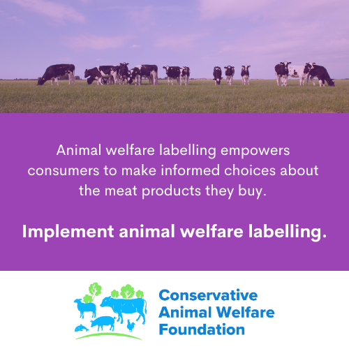 Animal welfare labelling empowers consumers to make informed choices about the meat products they buy. We would like to see <a href="/DefraGovUK/">Defra UK</a> continue the progress made under the previous Government to implement a system of animal welfare labelling for meat products in the UK