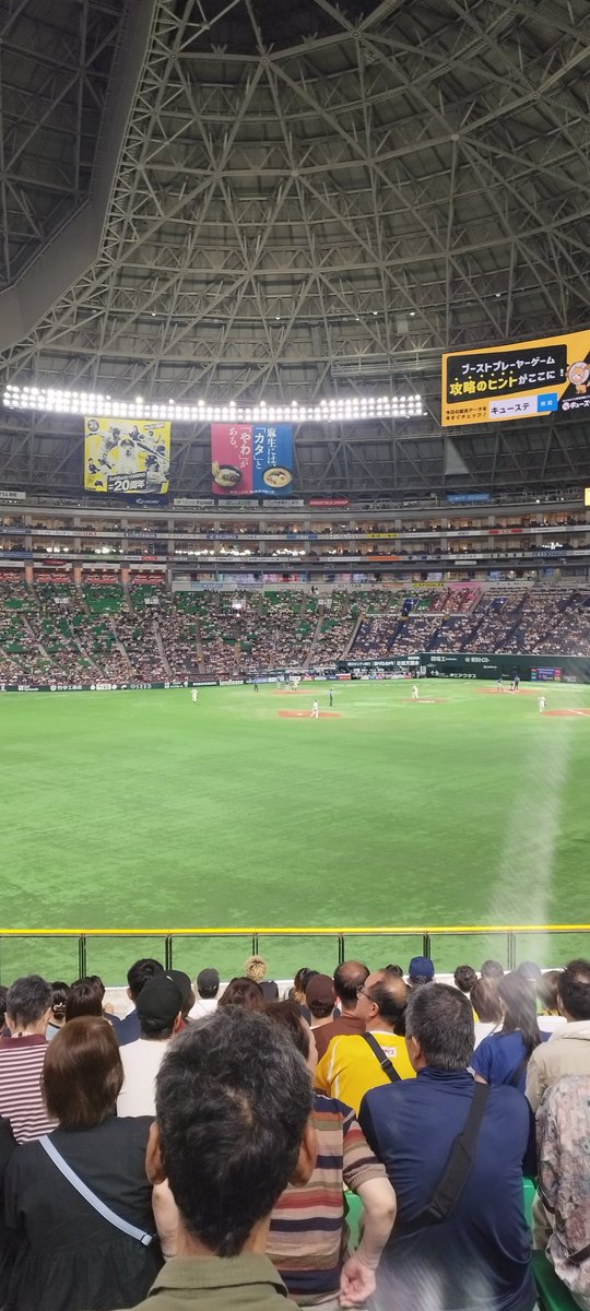 1年ぶり！着ド！