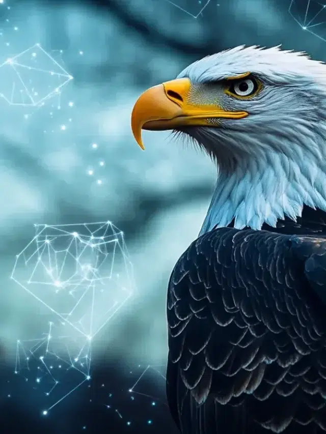halldavid2023's tweet photo. SEC lays out disclosure rules for crypto ETFs as it eyes clearer listing path

https://t.co/VyCdB4qkEX https://t.co/u974LP8Z9c
