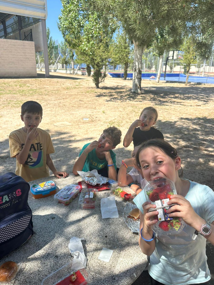 🏀🏀Muchas gracias por la colaboración a <a href="/Dip_Va/">Diputación de Valladolid</a>, <a href="/aytolmedo/">Ayuntamiento Olmedo</a> e Ideal Fruits por la colaboración en el campus celebrado en Olmedo