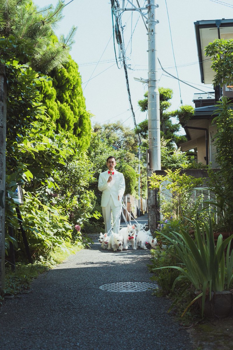 夏の小道を歌いながら散歩する。