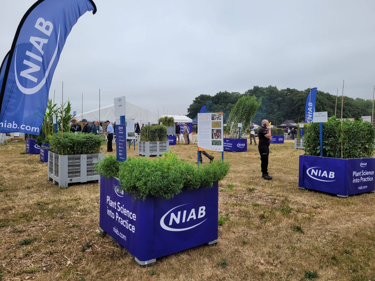 niabgroup's tweet image. Visit #Niab in the Demo Field @Groundswellaguk Take a look at various crops and talk to our staff. Tour of the stand is 1.30pm.