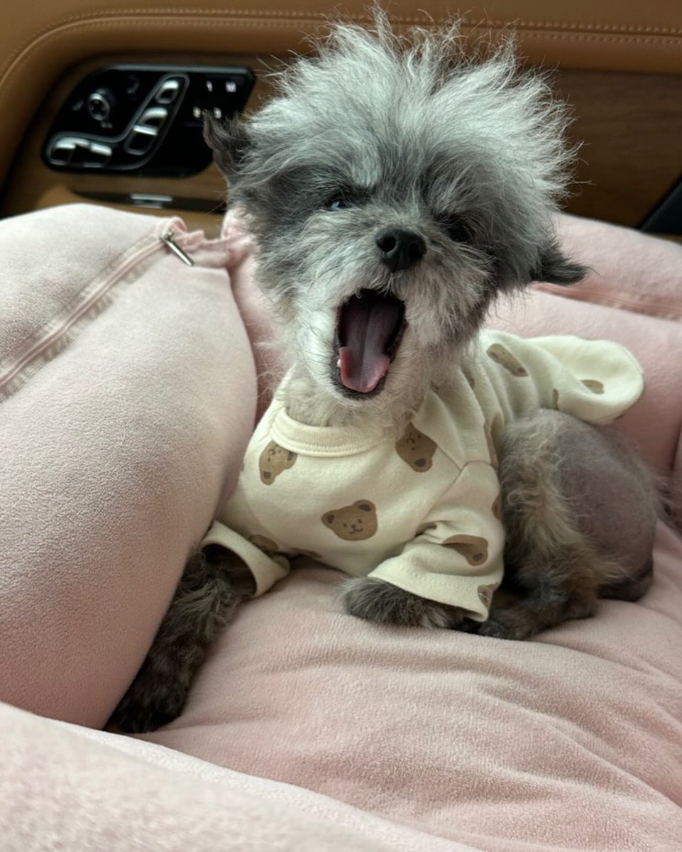 SNSD_0805's tweet image. [INSTAGRAM] dooeyuri:

와 드디어  컴백!! 권뚜이 주인언니가 드디어 내 계정 찾았어요 🥰🤭

#두이
#dooe

instagram.com/p/DLmNWrBhQ-l/
