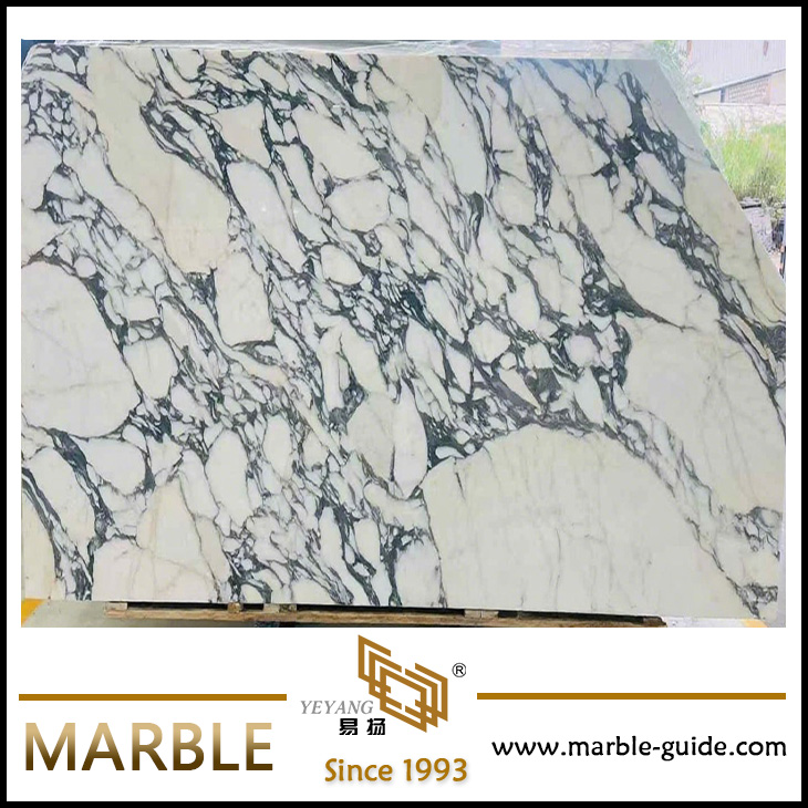 Marble_Decor's tweet image. Arabescato white marble slabs for sale.
Usage: countertops, floors,walls,backsplashes,and more.
Web: marble-guide.com
#whitemarble #marbleslab #floor #wall #countertop #kitchen #bathroom