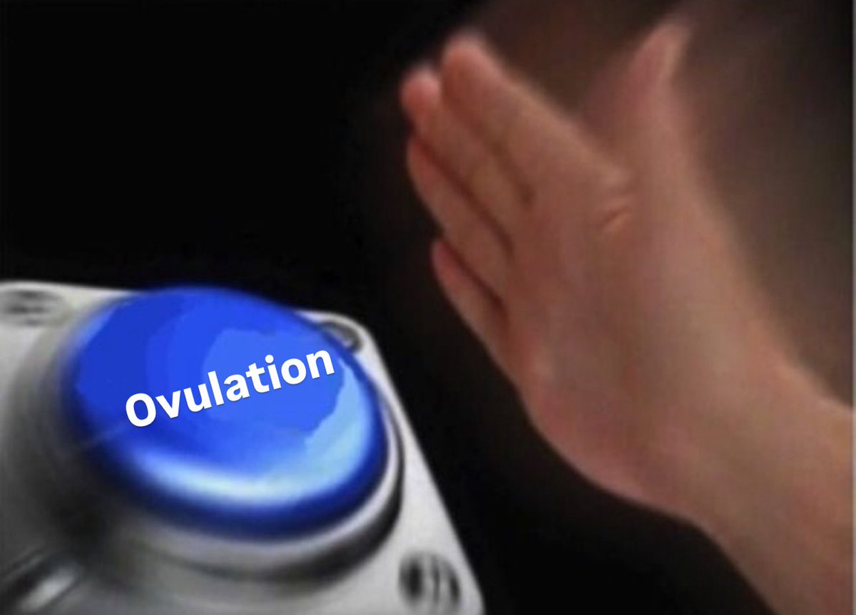 CARATs after watching gyucheol’s vid: