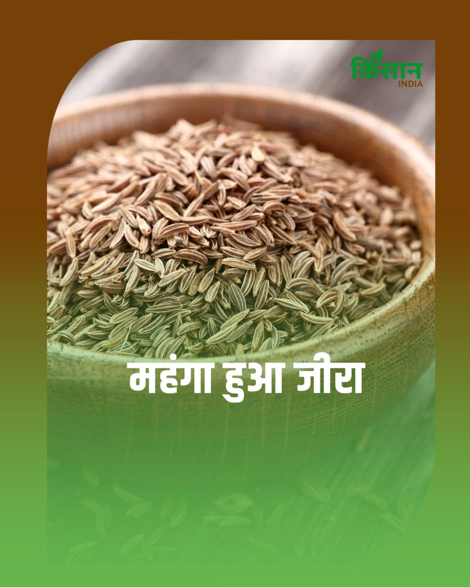 kisanindianews's tweet photo. Mandi Bhav: महंगा हुआ ज��रा, एक हफ्ते में 66 फीसदी बढ़ा रेट.. जानें प्याज का लेटेस्ट प्राइस
#KisanIndia #KisanNews #AgriNews #MandiBhav #CuminPrice #AgriNews #MarketRates #IndianMarket #SpiceMarket
https://t.co/Tr5ItlGiWX https://t.co/wWK90oNsMC
