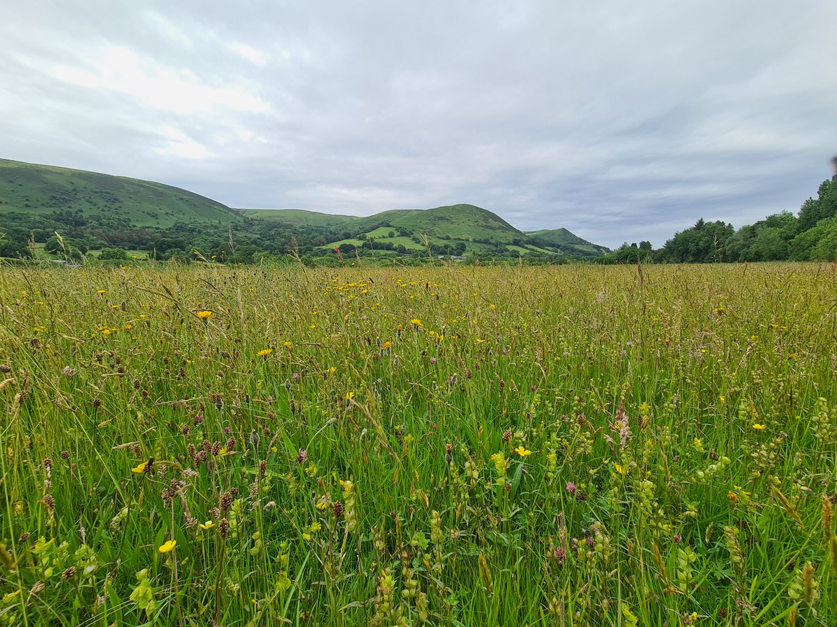 Montgomeryshire WT (@montwildlife) on Twitter photo Just a few days until <a href="/WalesNatureWeek/">Wales Nature Week /Wythnos Natur Cymru</a> starts...
Why not join us for one of our events & learn about #Montgomeryshire’s marvellous wildlife?
👉montwt.co.uk/events
📸Dawn Monrose (Azure Damselfly); MWT (Llandinam Gravels) Just a few days until <a href="/WalesNatureWeek/">Wales Nature Week /Wythnos Natur Cymru</a> starts...
Why not join us for one of our events & learn about #Montgomeryshire’s marvellous wildlife?
👉montwt.co.uk/events
📸Dawn Monrose (Azure Damselfly); MWT (Llandinam Gravels)