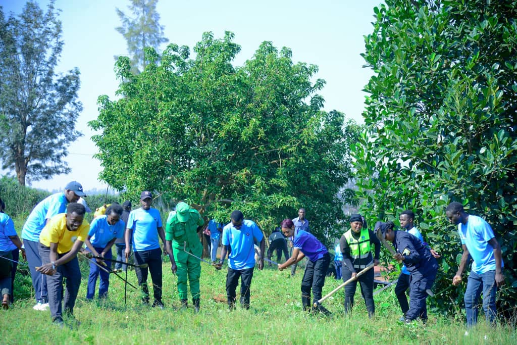 RYVCP_Rusororo's tweet photo. Mu rwego rwo gusoza ibikorwa byo #Kwibora31 twe nk'urubyiruko rw'Abakorerabushake
Twazindukiye mu muganda wakorewe mu mudugudu wa Rugende  ahubatswe inzu z'abari ingabo zamugariye ku rugamba rwo kubohora igihugu.@Kgl_Yvolunteers @RYVCP_Gasabo  @RNPSpokesperson @RwandaLocalGov https://t.co/SSvZ51SH0d