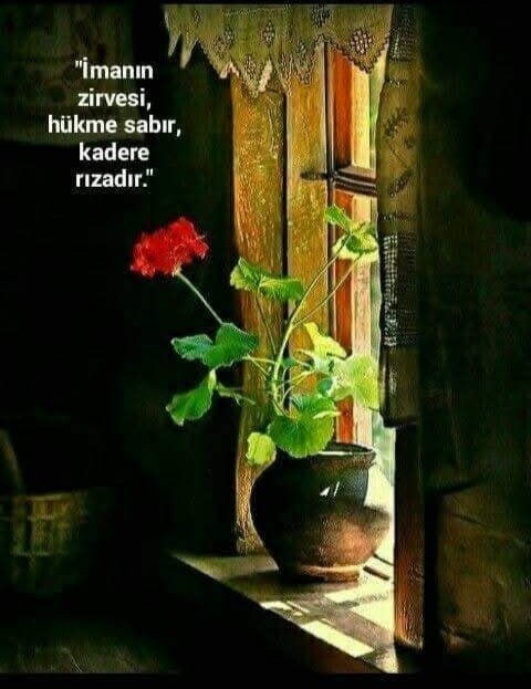 kutlumesut01fb1's tweet image. #Bismillah;🇹🇷
🌠"Ey İNsaN L ar! Sizin taşkınlık ve zulmünüz ÂN cak kendi aleyhinizedir."🌹
Yunus🌹23
🌠"ON L â r yeryüzünde büyüklük taslıyor ve tuzaklar kuruyorlardı. Halbuki hile yapan, hilesinin içine düşer."🌹
Fâtır🌹43
✨"Bizimkisi Acelesi
OL mayan #BİR_Âşk tüneliydi."✨