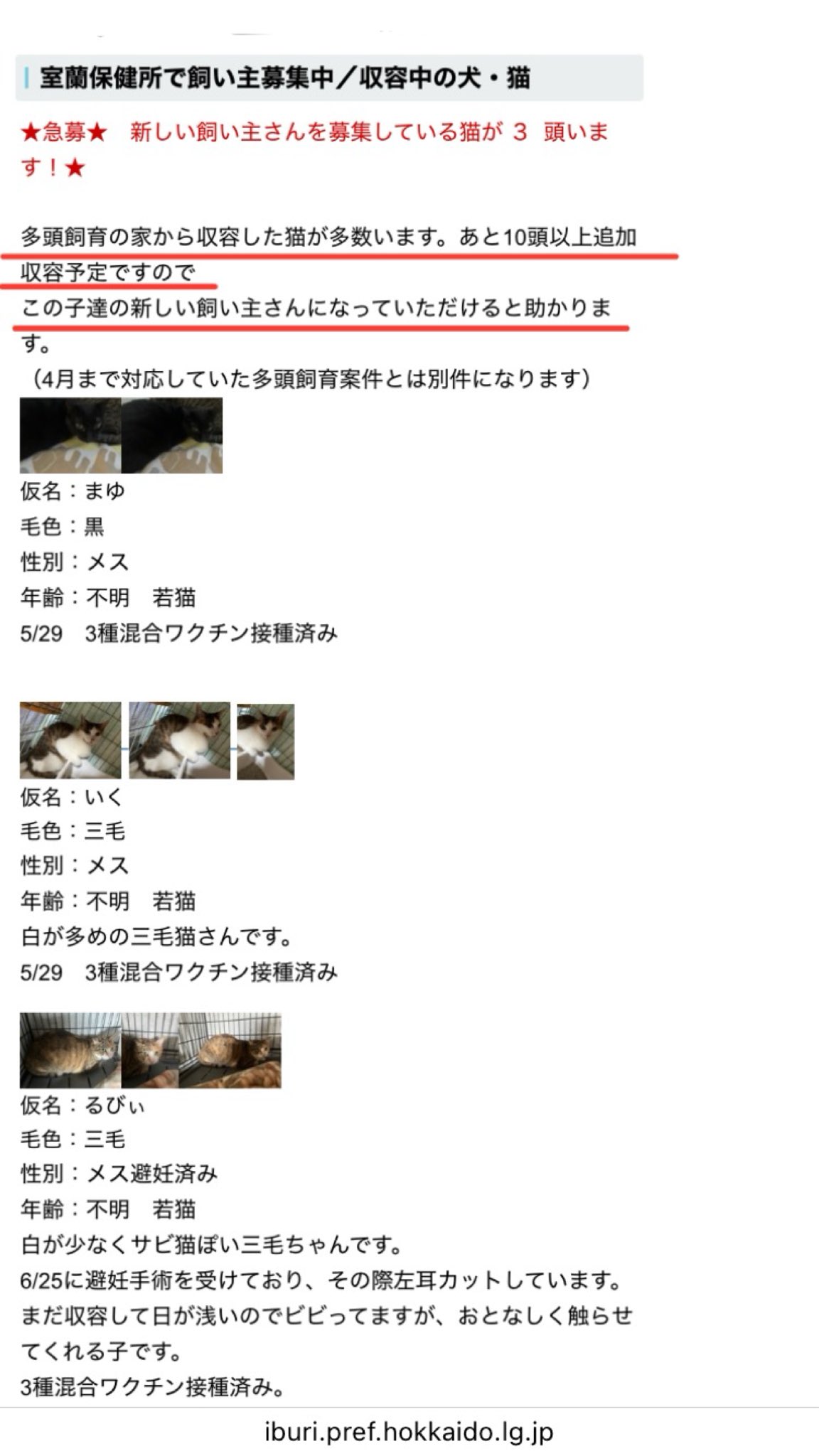 キャサリン🐈‍⬛ (@ellycoccu) / X