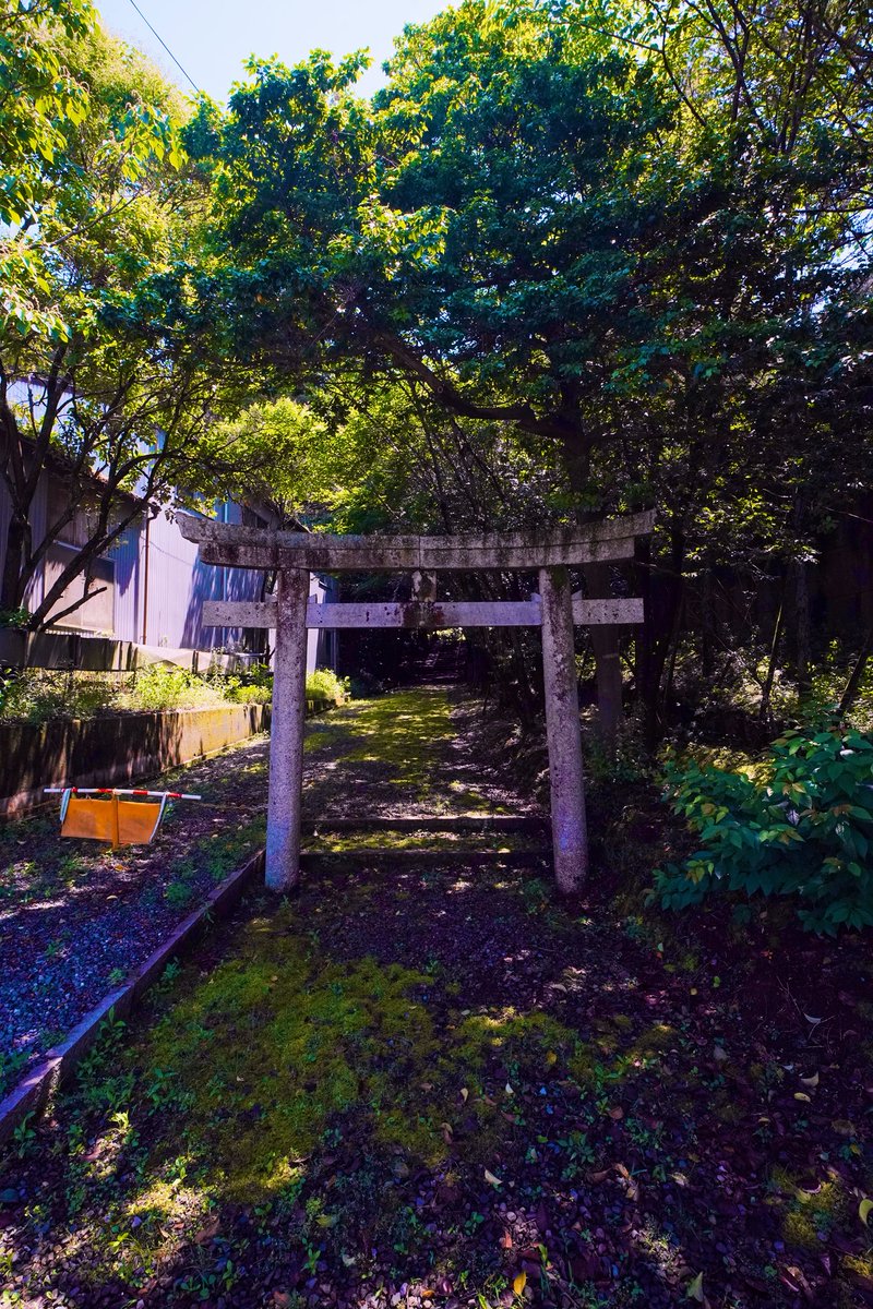 tomato59975980's tweet photo. 栗東

十二将神社

#滋賀県
#栗東
#十二将神社
#山の神
#神社参拝
#パワースポット
#SONY
#7C2
#SIGMA
#1628mmF28
#nisi
#PL
#お散歩スナップ https://t.co/CDC7H8z0Jm