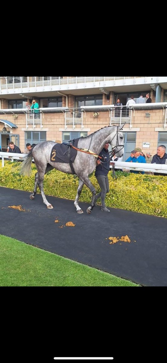Chris Gordon Racing (@chrisgordonrac1) on Twitter photo Just the one for this afternoon. Jefe Triunfo runs in the 3.45 at Worcester for Owner Jane Goddard with Freddie Gordon on board.
<a href="/betgoodwinuk/">BetGoodwin</a>
<a href="/EQFencing/">Equestrian Fencing </a>
<a href="/chrisgordon68/">Chris Gordon</a>
<a href="/freddie68528641/">freddie gordon</a>
<a href="/WorcesterRaces/">Worcester Racecourse</a> Just the one for this afternoon. Jefe Triunfo runs in the 3.45 at Worcester for Owner Jane Goddard with Freddie Gordon on board.
<a href="/betgoodwinuk/">BetGoodwin</a>
<a href="/EQFencing/">Equestrian Fencing </a>
<a href="/chrisgordon68/">Chris Gordon</a>
<a href="/freddie68528641/">freddie gordon</a>
<a href="/WorcesterRaces/">Worcester Racecourse</a>