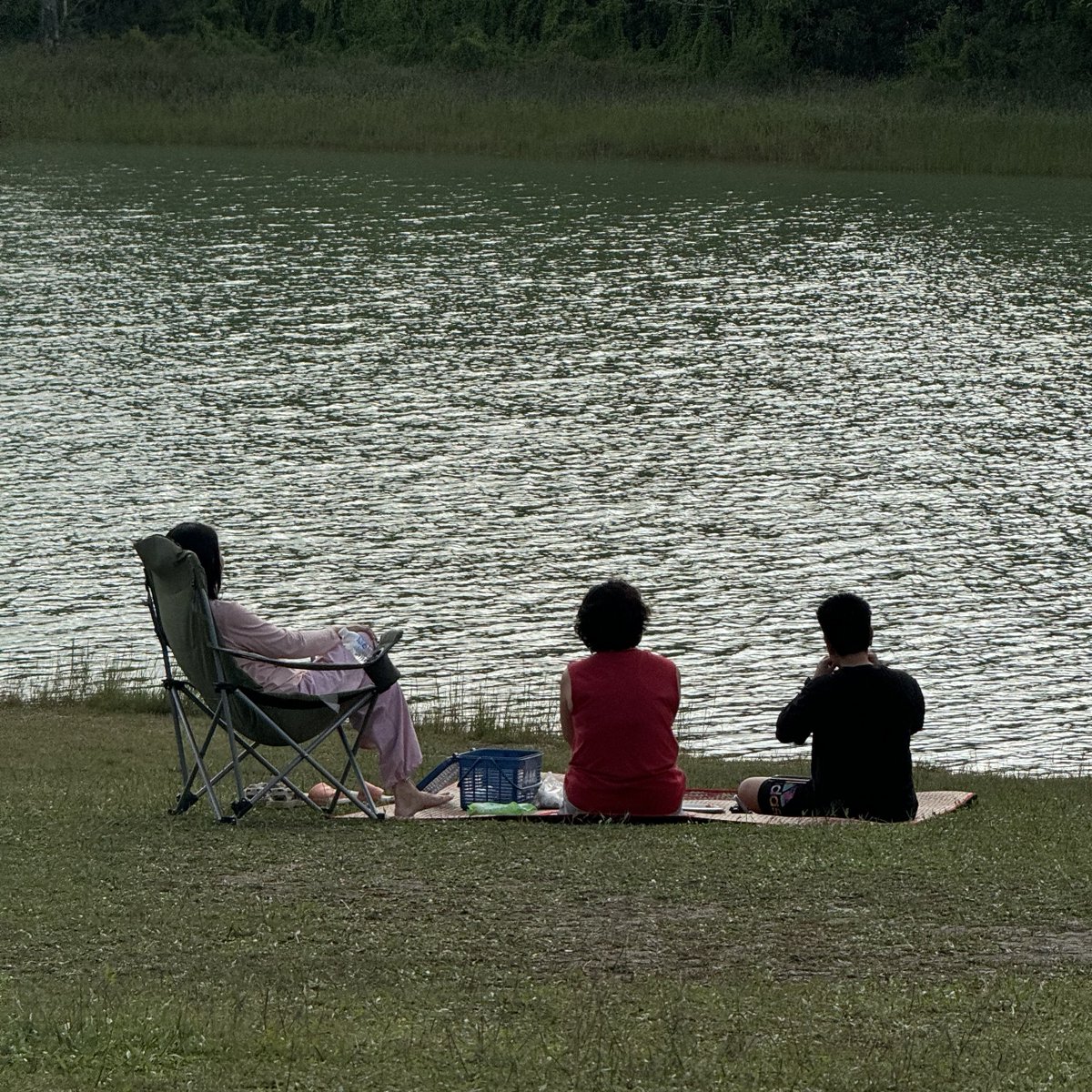 lostyouinmay's tweet image. เขาใหญ่ช่วงนี้ = อากาศเย็น มีหมอก โรแมนติกมาก