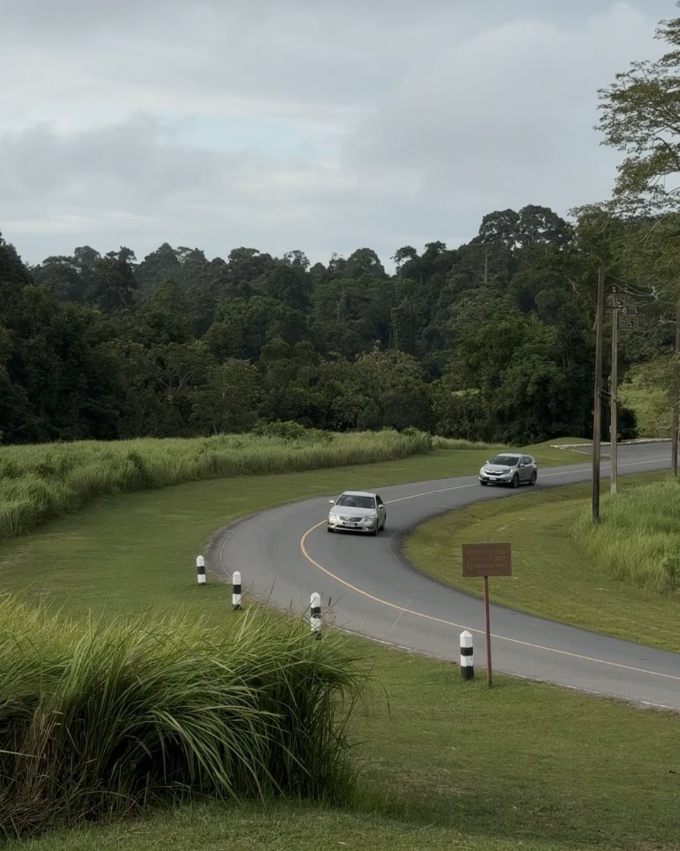 lostyouinmay's tweet image. เขาใหญ่ช่วงนี้ = อากาศเย็น มีหมอก โรแมนติกมาก