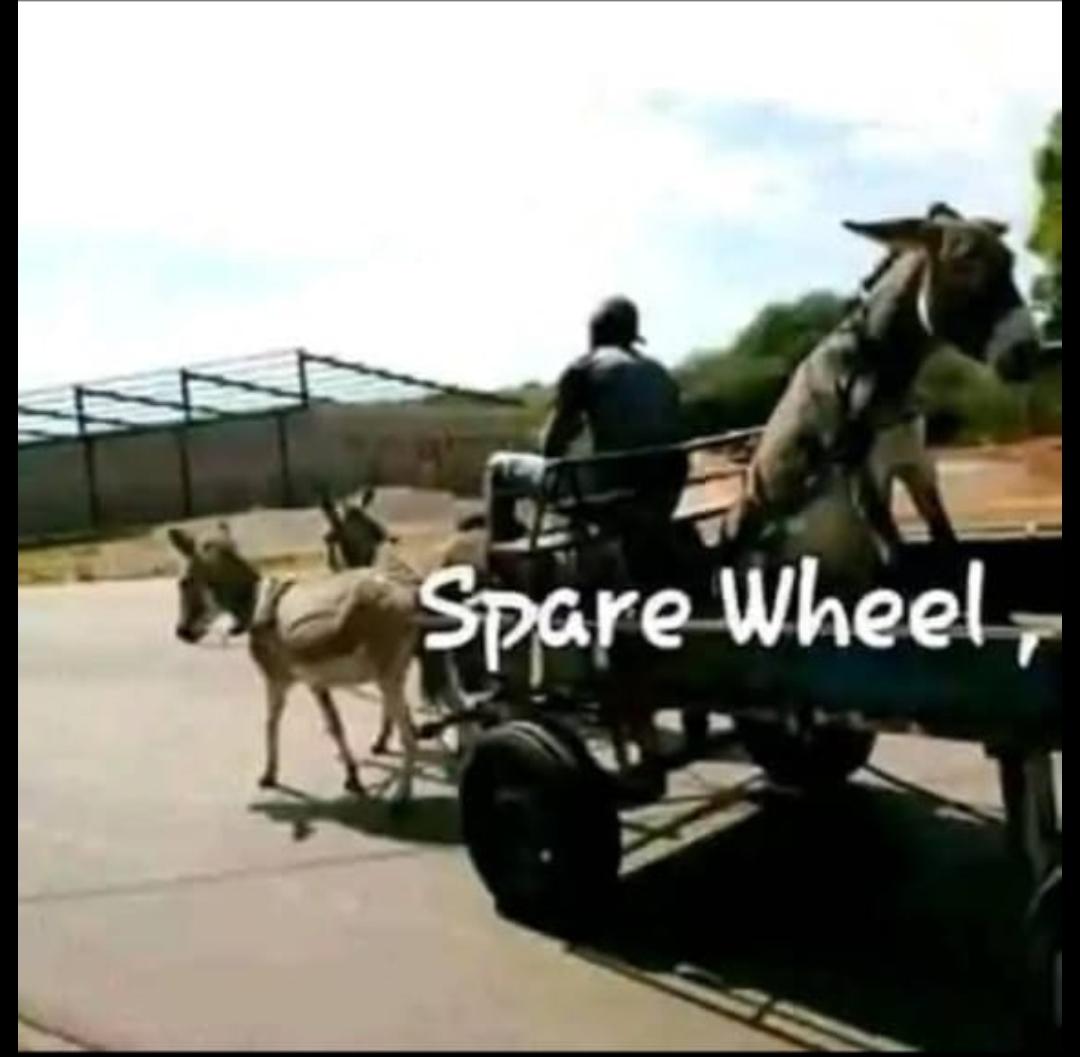 Bart Schoeman tweet media