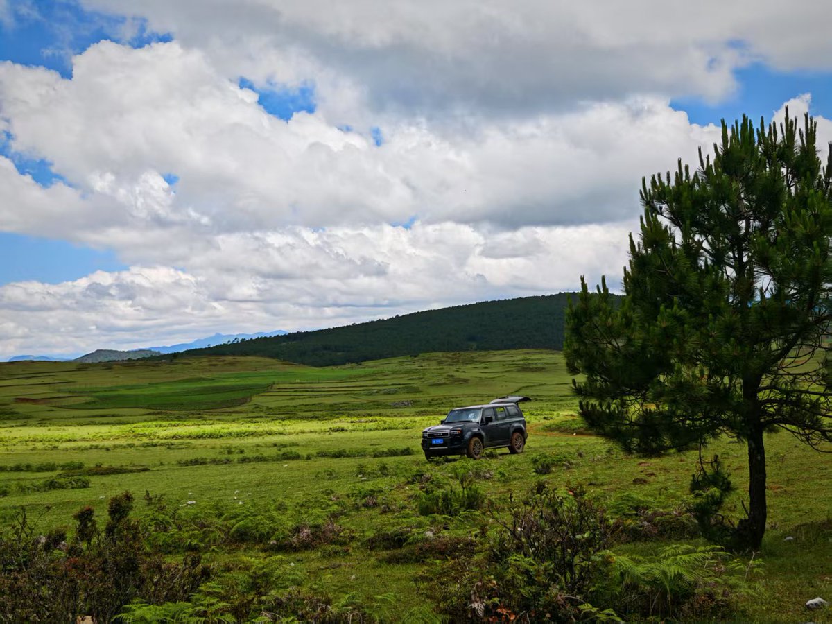在没有天花板的地方，吹自由的风