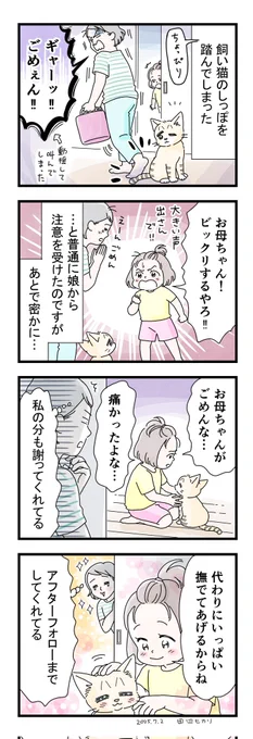 最近の我が家の4コマです。
家事をしてて後ろに下がったところにレモンがいて。
体重をかける前にしっぽに気付いたので、レモンも痛がる様子はなく安心しました。それよりも皆私の叫び声にビックリしてました😂
私のやらかしをまめこがフォローしてくれて、成長を感じました。感謝…🥺✨

#絵日記 