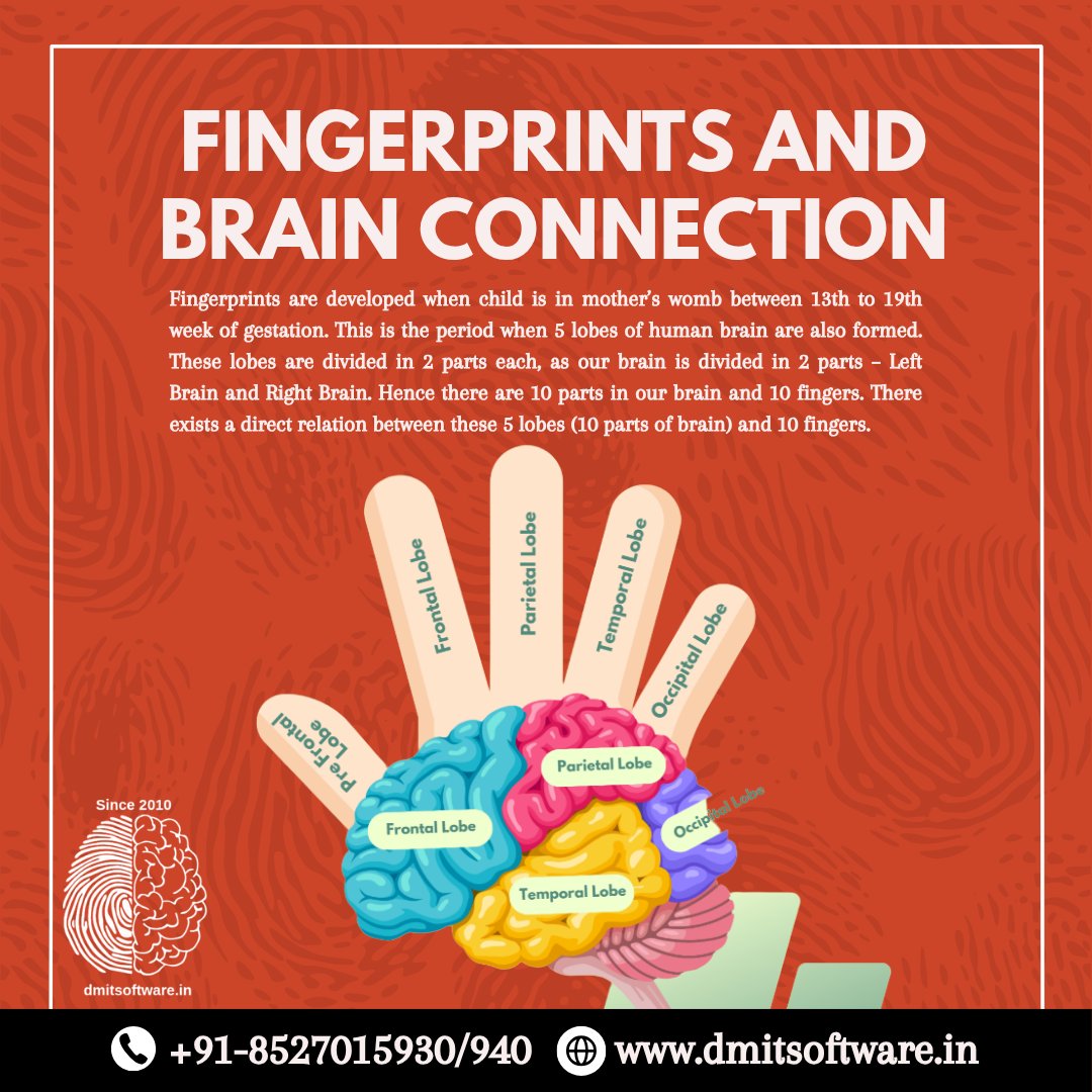 DmitSoftware's tweet image. 🧠✨ Unlock the Secret Between Fingerprints &amp;amp; Brain Power!
Did you know your 10 fingers are directly connected to 10 brain parts? DMIT uses biometric science to decode your true potential. 

🌐 dmitsoftware.in
📞 +91-8527015930 /940

#DMIT #BrainMapping #BiometricTest