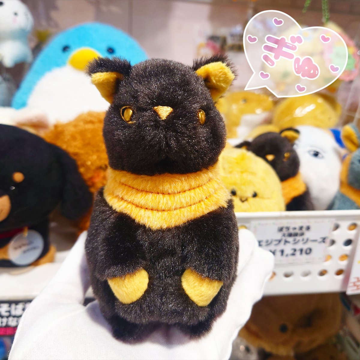 ぽちゃまる ✨新発売✨ エジプトシリーズ🐫🐪🇪🇬 バステト本日発売中