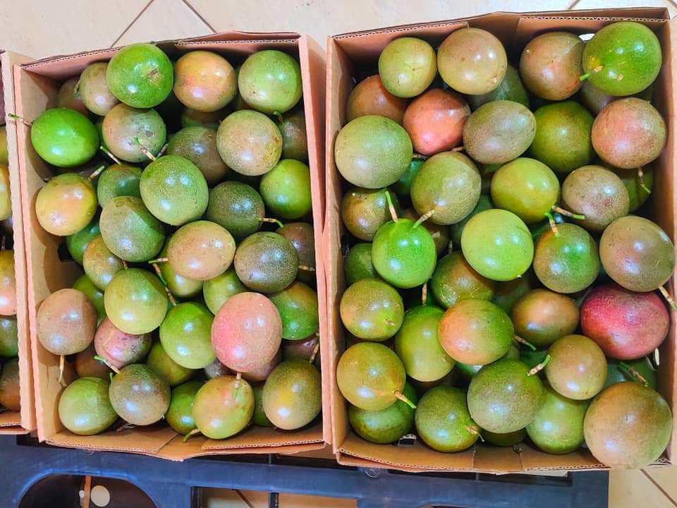 made in uganda online ltd tweet media