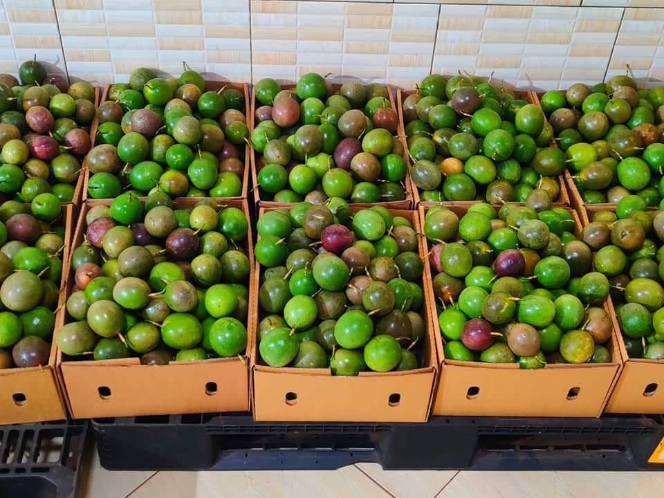 made in uganda online ltd tweet media