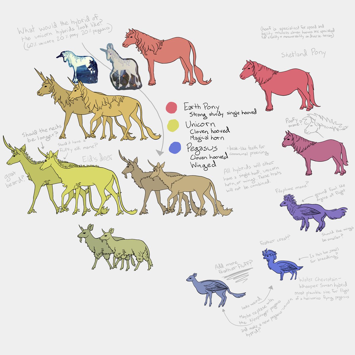 OrandeArt's tweet photo. #jufly Day01 Worked on my My Little Pony species redesign. I started by adding a kirin styled mane to the purebred unicorn. And then I got to experimenting with a “feather mane” for the Pegasus to aesthetically look more horse-like. https://t.co/QsKzjmU9Q0