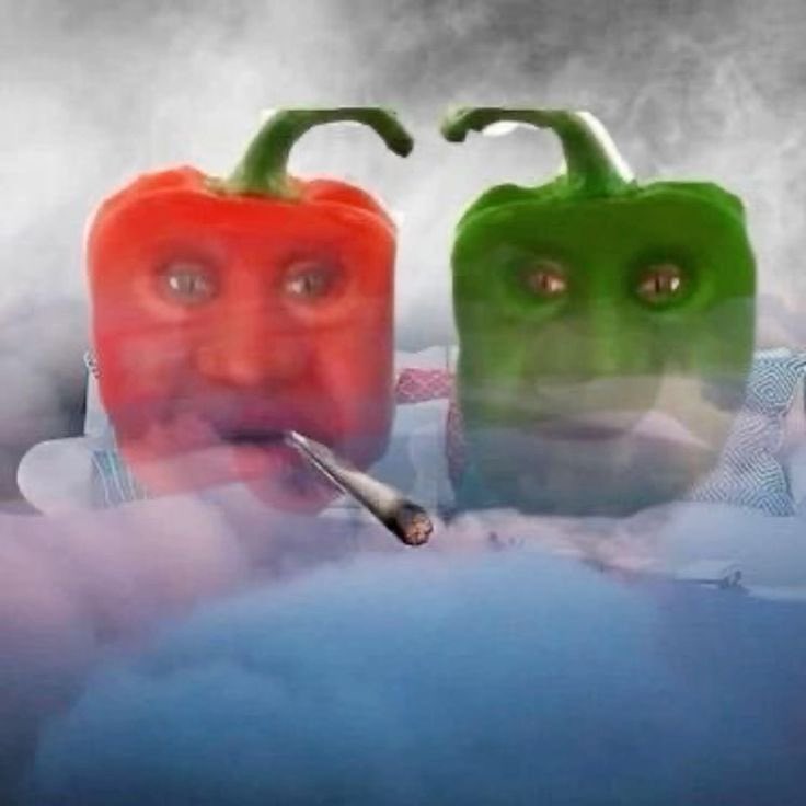 un amigo me acaba de preguntar como se llamaba el che guevara le dije ernesto y me dijo agarrame todo esto