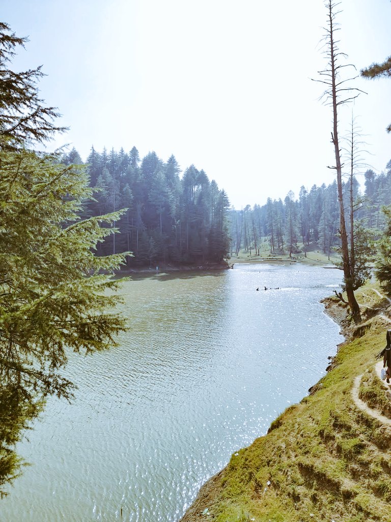 kashmir_right's tweet photo. Discover the serene beauty of #Poshnar, #Handwara. 🌳💧 Nestled in lush forests, with a fresh river flowing through, this scenic spot is a must-visit for nature lovers. 

#KashmirTourism #Poshnar #Handwara
@dckupwara @JandKTourism 
@TheSkandar @shahfaesal 
@HandwaraP https://t.co/Q9I5aJeqHi
