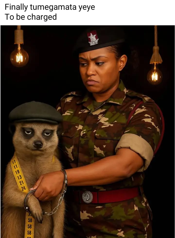 Ingudi C Nagila tweet media