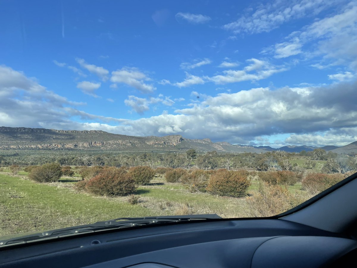 ☠️🖤➰ ɠıཞƖ ıŋɬɛཞཞų℘ɬɛɖ ➿🖤☠️ tweet media